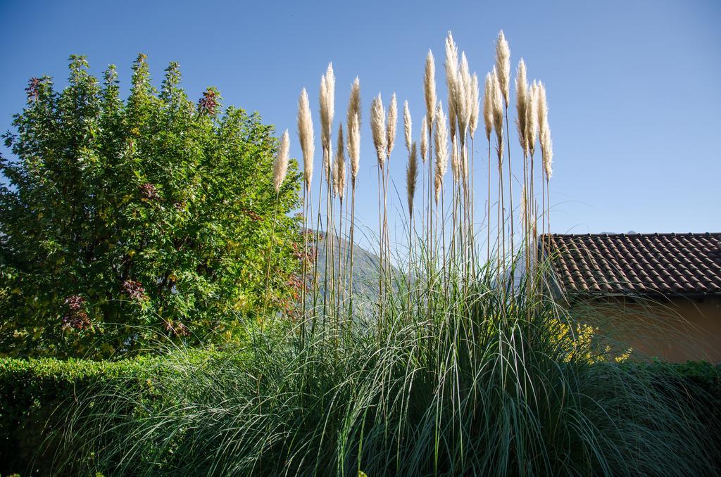 Anma Cottages Sole Lago Acquaseria Dış mekan fotoğraf