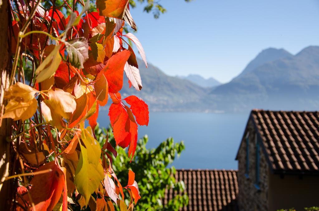 Anma Cottages Sole Lago Acquaseria Dış mekan fotoğraf