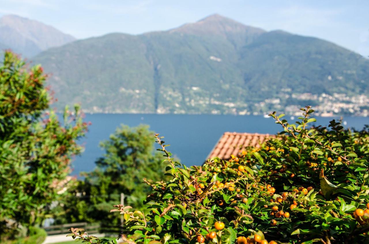 Anma Cottages Sole Lago Acquaseria Dış mekan fotoğraf